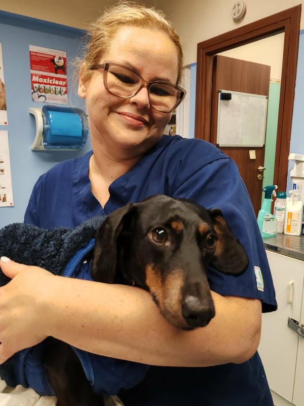 Ultrahangos fogkőleszedés